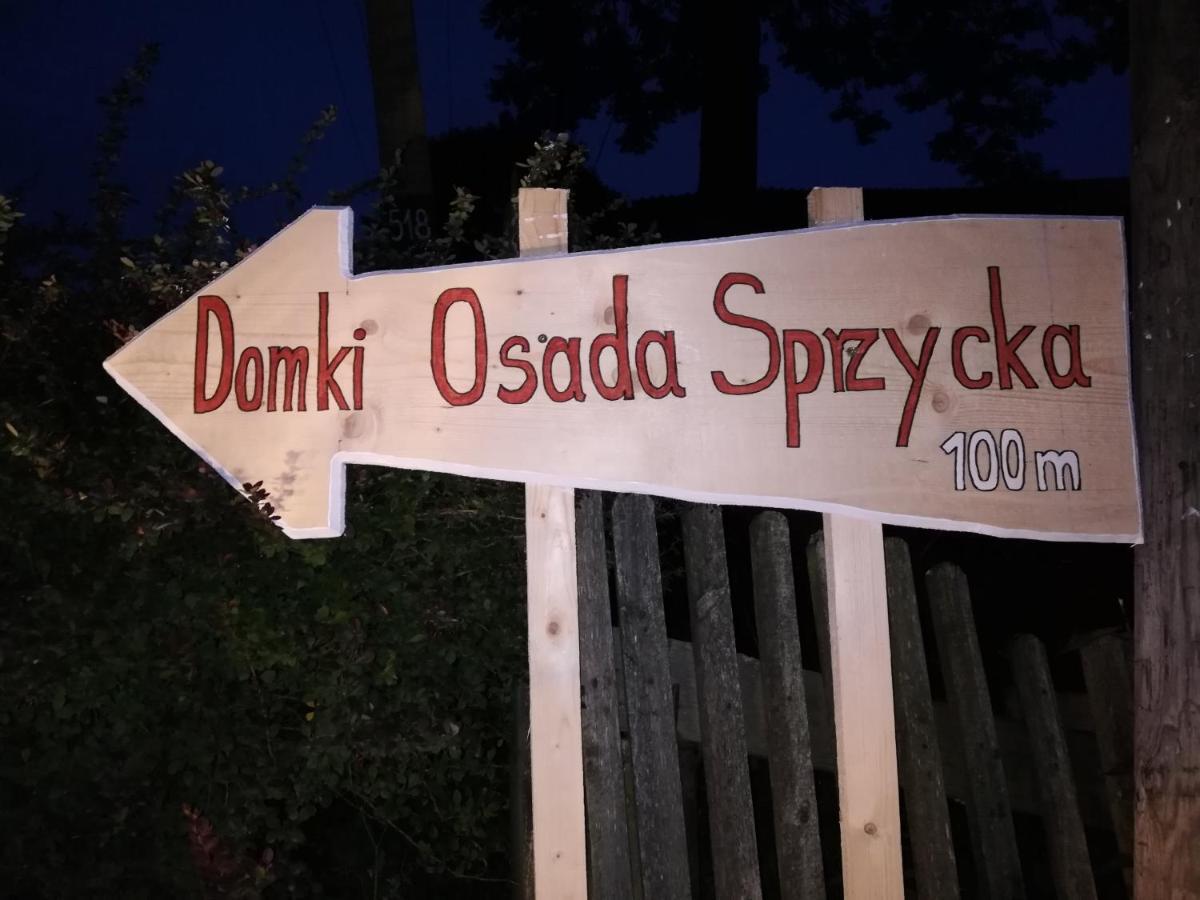 DzianiszOsada Sprzycka别墅 外观 照片